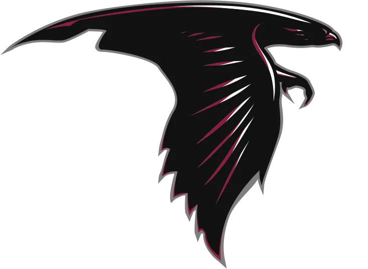 St. Thomas Aquinas Falcon logo